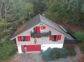 Gezellige familie chalet